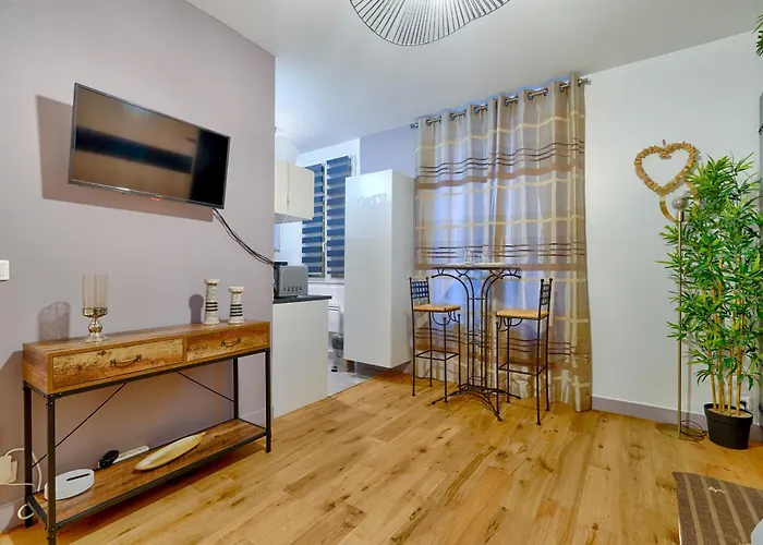 Appartement Agreable Proche Paris Et Porte De Versailles Malakoff